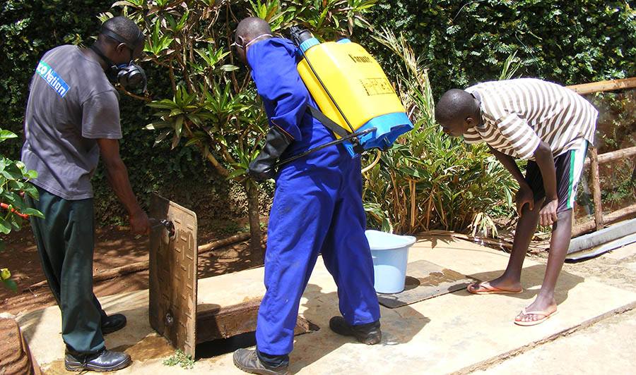 cockroach drain fumigation Kampala