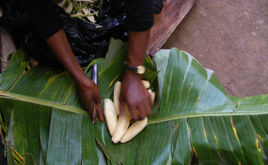 how to prepare matooke. banana leaves. Diary of a Muzungu