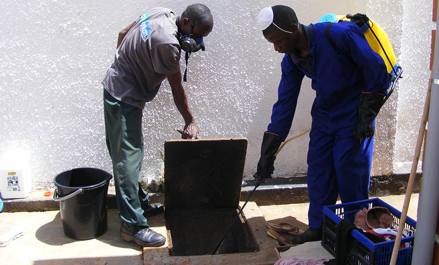 cockroach drain fumigation men Kampala