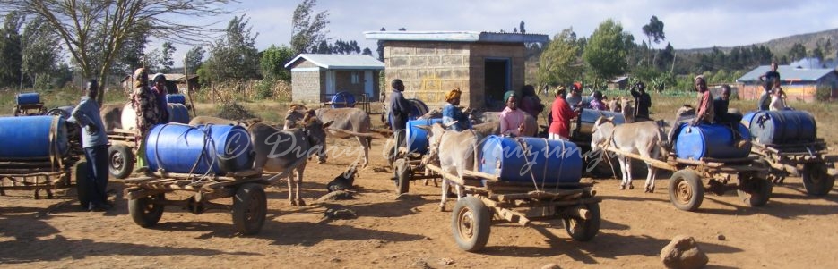 The real 'boda boda' – sidesaddle into Kenya