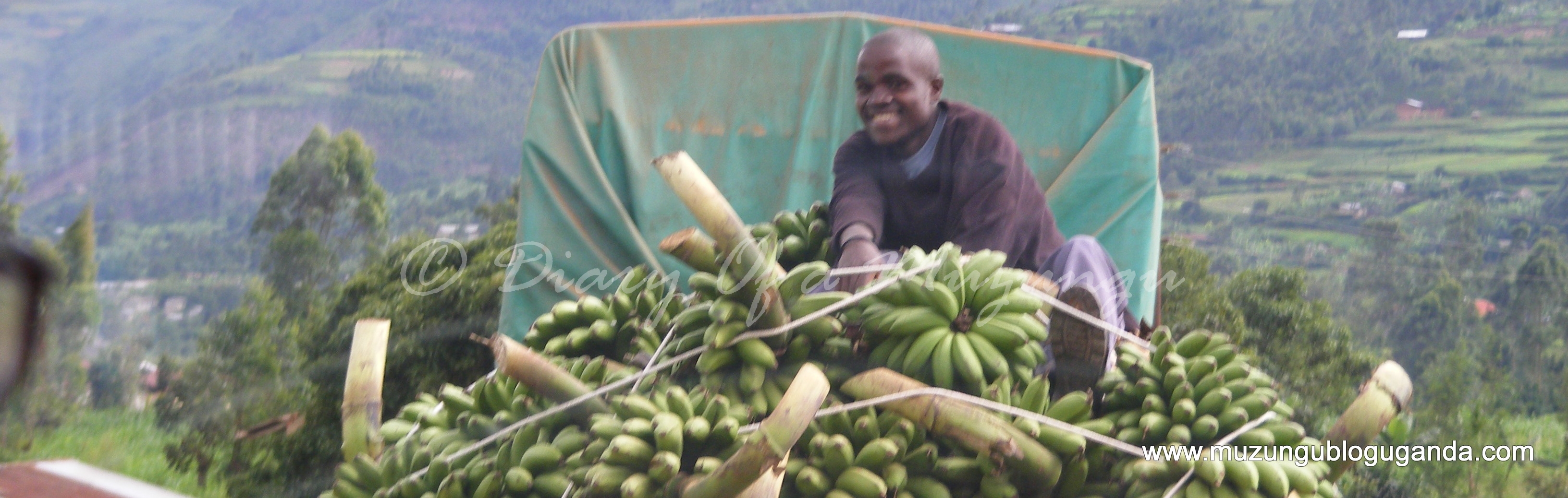 You want to know why this guy's smiling? MATOOKE!