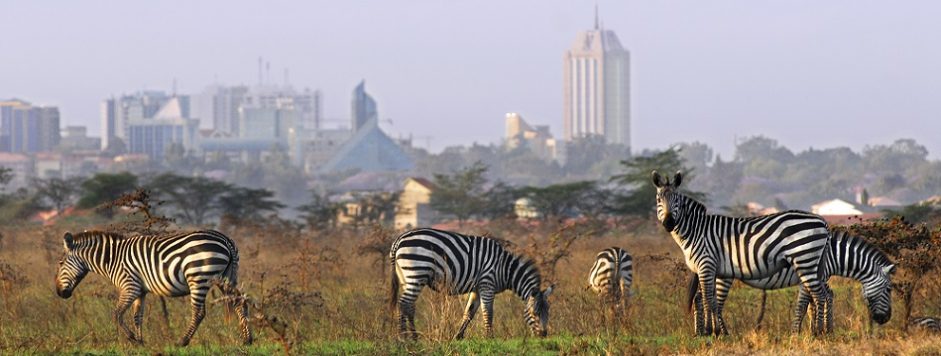 Nairobi National Park