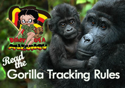 Read Gorilla Tracking Rules. Diary of a Muzungu