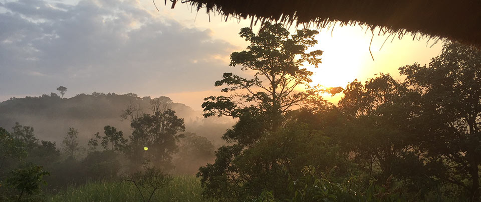 Sunbird Hill, sunset view of Kibale Forest