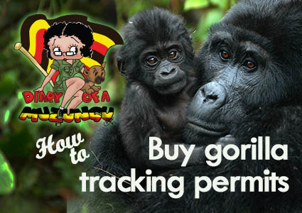 How to buy gorilla tracking permits. Diary of a Muzungu