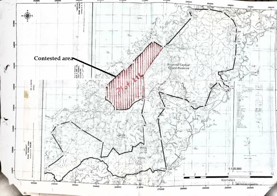 Map of Bugoma Forest showing contested area. May 2019