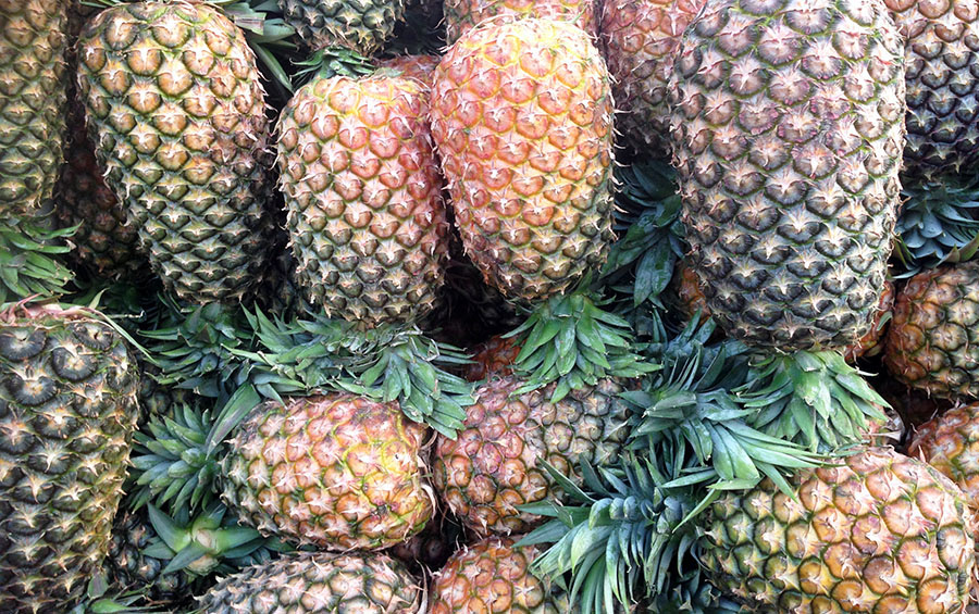 Ugandan pineapples. Diary of a Muzungu