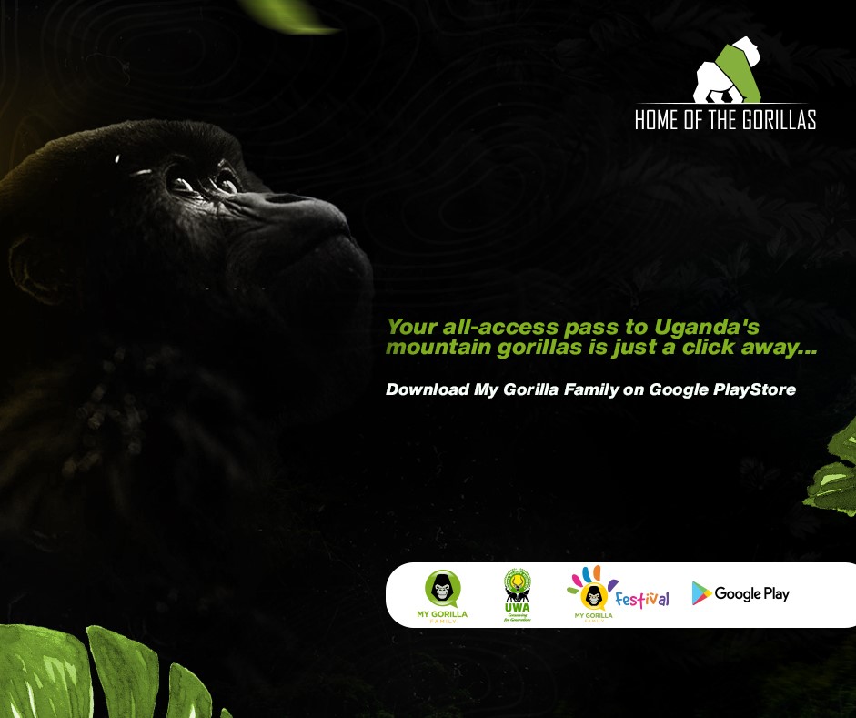 My Gorilla Family app launch Uganda 2020