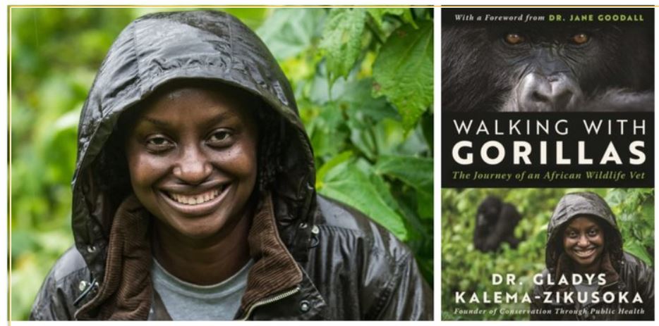 Dr Gladys Kalema-Zikusoka, Uganda. Walking with Gorillas book published 2023