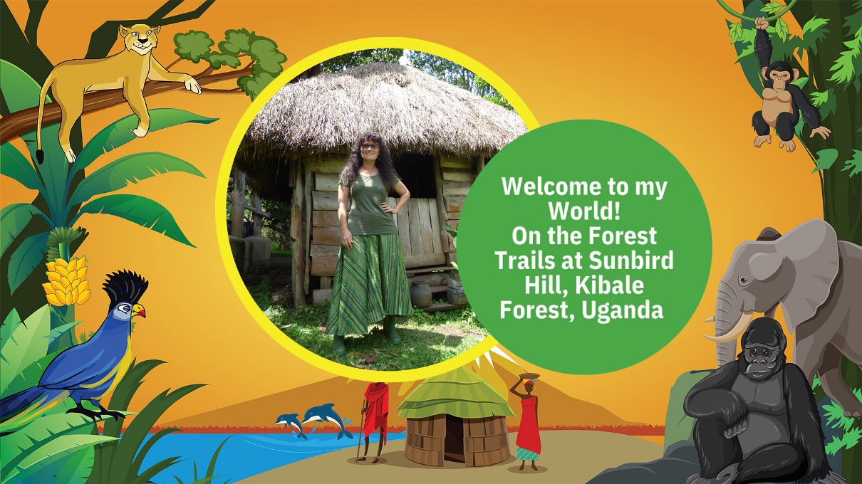 Episode 1. Welcome to my world. On the forest trails at Sunbird Hill. The East Africa Travel Podcast by Charlotte Beauvoisin, Diary of a Muzungu
