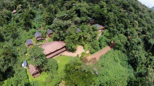 Buhoma Lodge, Bwindi Forest, Uganda Exclusive Camps