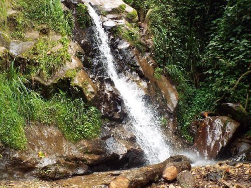 Kazeneza waterfall, Gishwati Forest, Rwanda. Photo. FHA
