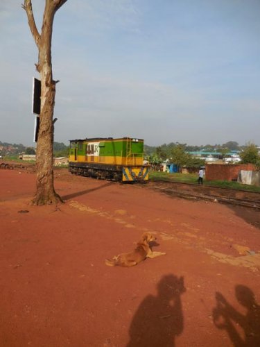 Rift Valley Railways Kampala train Namanve dog. PHOTO Diary of a Muzungu