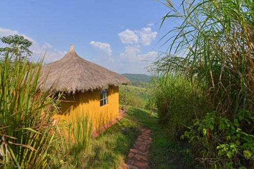 cottage, Isunga Lodge Kibale Forest Uganda
