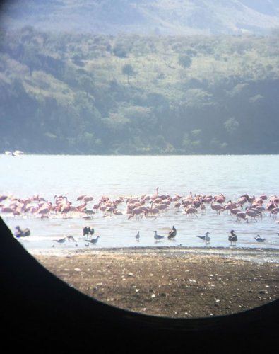 flamingo binoculars. Lake Elmenteita Serena Camp. Diary of a Muzungu