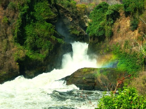 murchison falls F&M Adventure Safaris Uganda