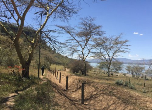 nature walk. Lake Elmenteita Serena Camp. Diary of a Muzungu