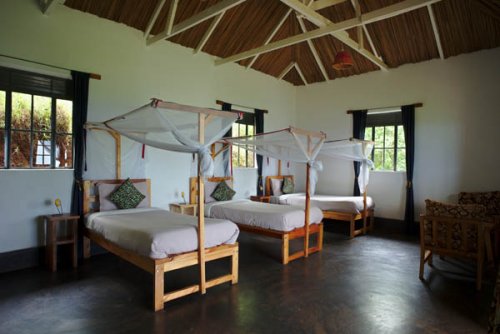 triple cottage, morning over Kibale Forest Isunga Lodge Uganda