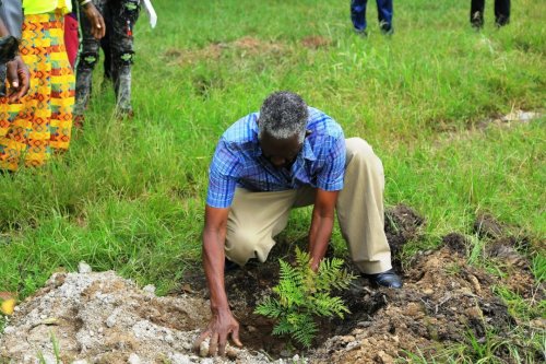 Mayor Asaba Edson Ruyonga planting a tree during Fort Portal City clean up - Afriyea