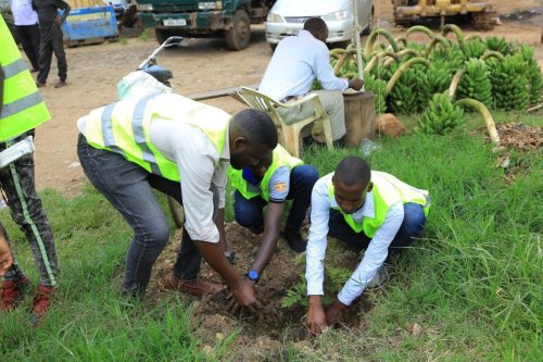 Youths planting tree during environmental campaign. Fort Portal, Toro Uganda
